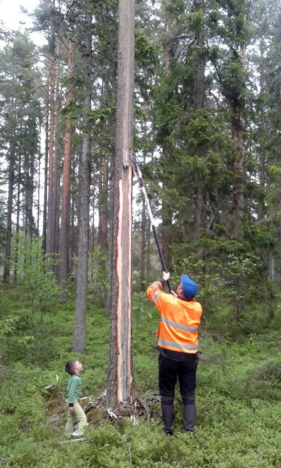 Hansolov Lönn
